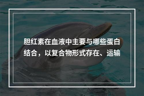 胆红素在血液中主要与哪些蛋白结合，以复合物形式存在、运输