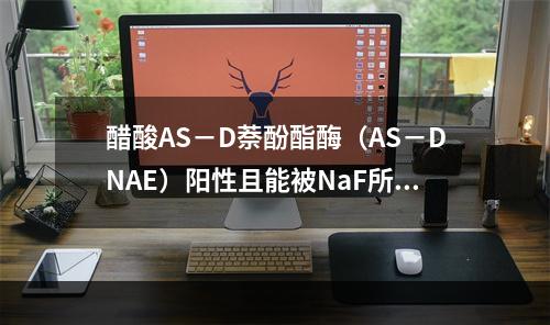 醋酸AS－D萘酚酯酶（AS－DNAE）阳性且能被NaF所抑制