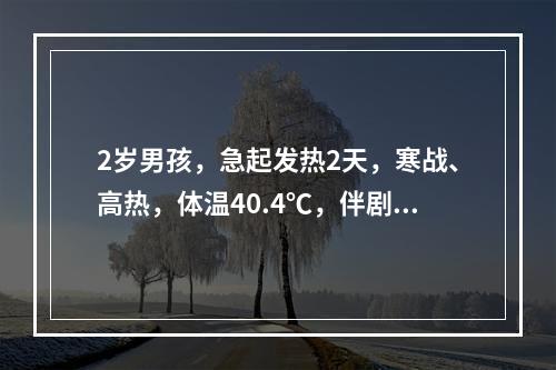 2岁男孩，急起发热2天，寒战、高热，体温40.4℃，伴剧烈头