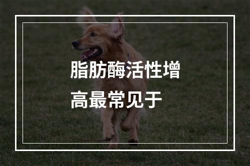 脂肪酶活性增高最常见于