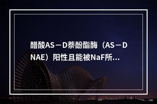 醋酸AS－D萘酚酯酶（AS－DNAE）阳性且能被NaF所抑制