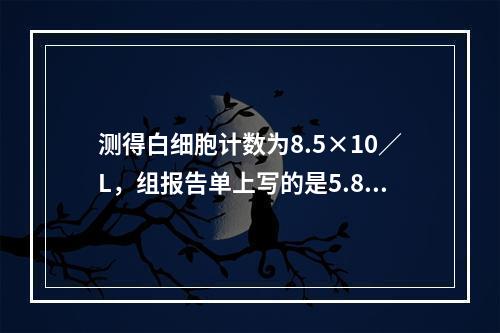 测得白细胞计数为8.5×10／L，组报告单上写的是5.8×1