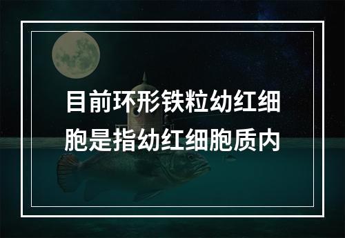 目前环形铁粒幼红细胞是指幼红细胞质内