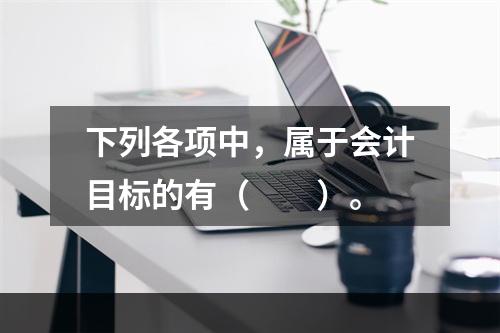 下列各项中，属于会计目标的有（　　）。