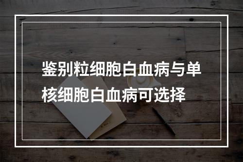 鉴别粒细胞白血病与单核细胞白血病可选择