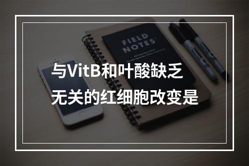 与VitB和叶酸缺乏无关的红细胞改变是