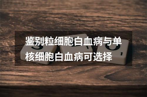 鉴别粒细胞白血病与单核细胞白血病可选择