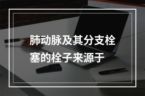 肺动脉及其分支栓塞的栓子来源于