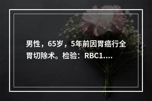 男性，65岁，5年前因胃癌行全胃切除术。检验：RBC1.2×