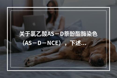 关于氯乙酸AS－D萘酚酯酶染色（AS－D－NCE），下述概念