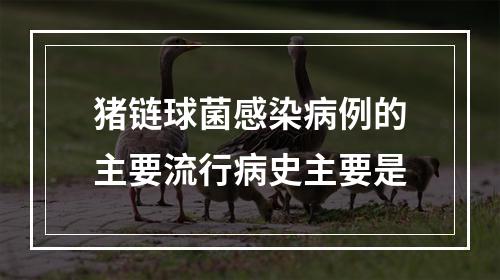 猪链球菌感染病例的主要流行病史主要是