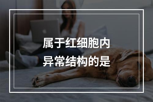 属于红细胞内异常结构的是