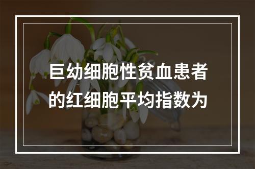 巨幼细胞性贫血患者的红细胞平均指数为