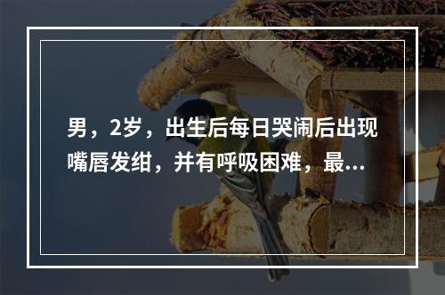 男，2岁，出生后每日哭闹后出现嘴唇发绀，并有呼吸困难，最近其