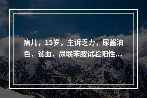 病儿，15岁，主诉乏力，尿酱油色，贫血，尿联苯胺试验阳性，下