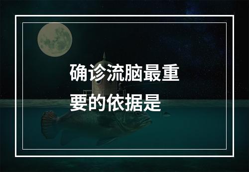 确诊流脑最重要的依据是