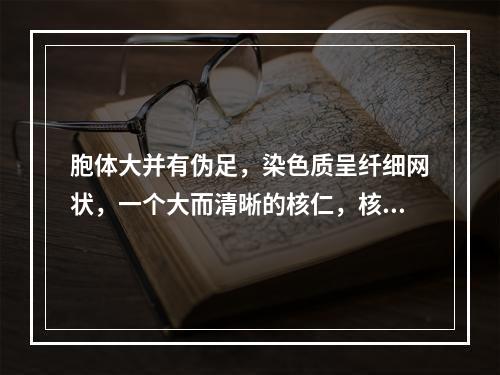 胞体大并有伪足，染色质呈纤细网状，一个大而清晰的核仁，核形略