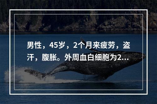 男性，45岁，2个月来疲劳，盗汗，腹胀。外周血白细胞为20×