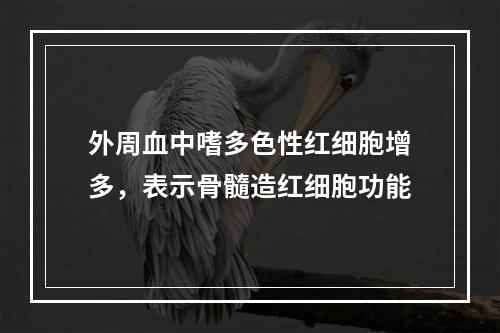 外周血中嗜多色性红细胞增多，表示骨髓造红细胞功能