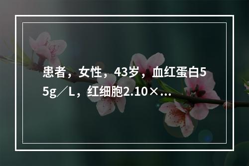 患者，女性，43岁，血红蛋白55g／L，红细胞2.10×10