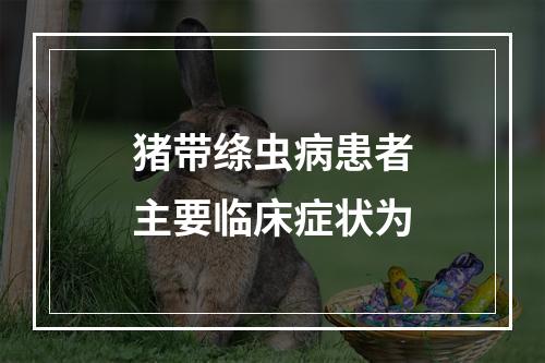 猪带绦虫病患者主要临床症状为