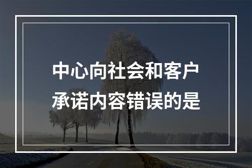 中心向社会和客户承诺内容错误的是