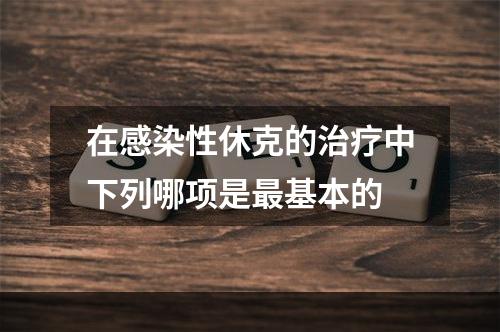 在感染性休克的治疗中下列哪项是最基本的