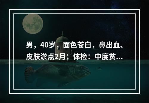 男，40岁，面色苍白，鼻出血、皮肤淤点2月；体检：中度贫血貌