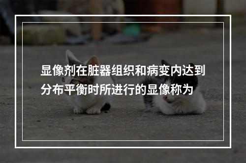 显像剂在脏器组织和病变内达到分布平衡时所进行的显像称为