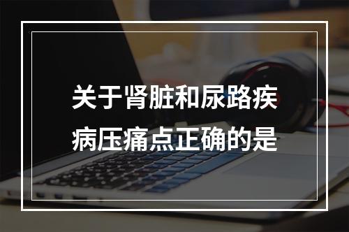 关于肾脏和尿路疾病压痛点正确的是