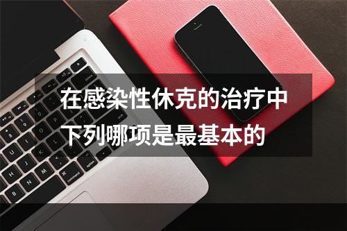 在感染性休克的治疗中下列哪项是最基本的