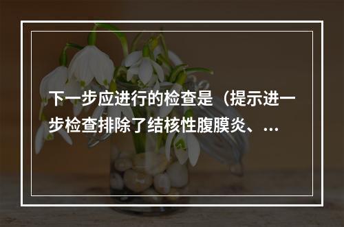 下一步应进行的检查是（提示进一步检查排除了结核性腹膜炎、晚期