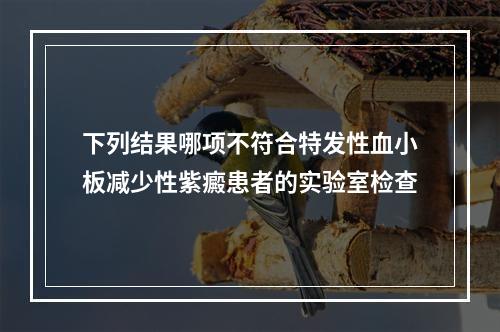 下列结果哪项不符合特发性血小板减少性紫癜患者的实验室检查