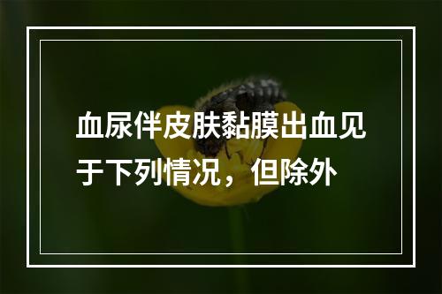 血尿伴皮肤黏膜出血见于下列情况，但除外