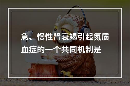 急、慢性肾衰竭引起氮质血症的一个共同机制是