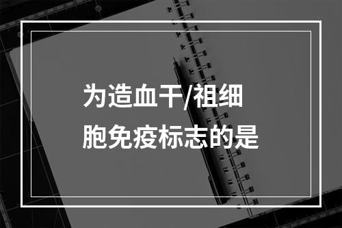 为造血干/祖细胞免疫标志的是