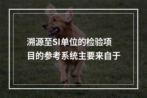 溯源至SI单位的检验项目的参考系统主要来自于