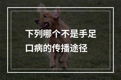 下列哪个不是手足口病的传播途径