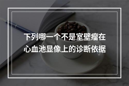 下列哪一个不是室壁瘤在心血池显像上的诊断依据