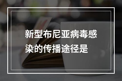 新型布尼亚病毒感染的传播途径是