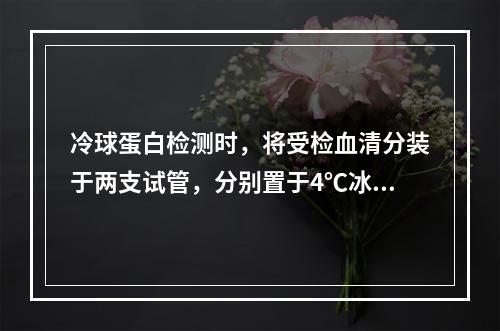 冷球蛋白检测时，将受检血清分装于两支试管，分别置于4℃冰箱和