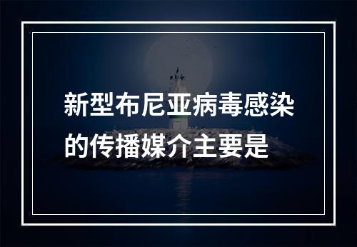 新型布尼亚病毒感染的传播媒介主要是