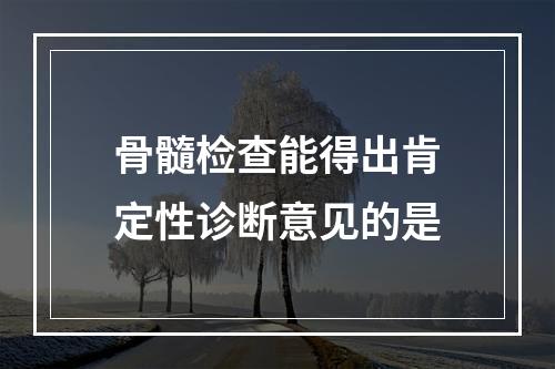 骨髓检查能得出肯定性诊断意见的是