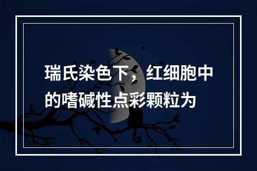 瑞氏染色下，红细胞中的嗜碱性点彩颗粒为