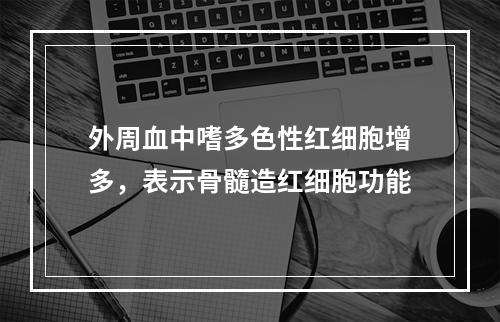 外周血中嗜多色性红细胞增多，表示骨髓造红细胞功能