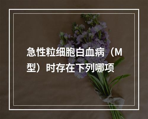 急性粒细胞白血病（M型）时存在下列哪项