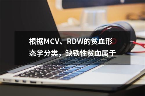 根据MCV、RDW的贫血形态学分类，缺铁性贫血属于