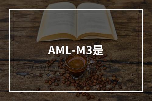 AML-M3是