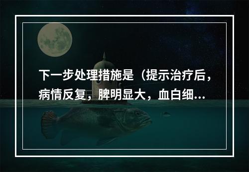 下一步处理措施是（提示治疗后，病情反复，脾明显大，血白细胞、