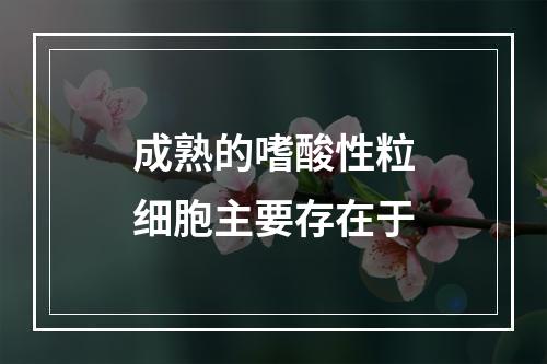 成熟的嗜酸性粒细胞主要存在于